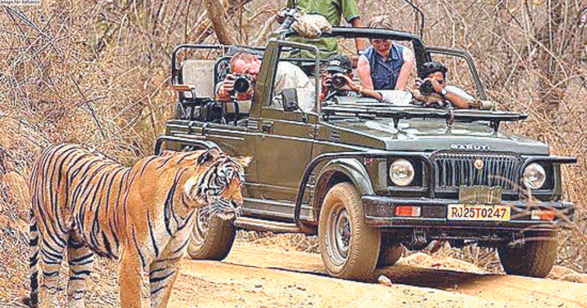 Tourist exploitation in Ranthambore: officials accused, report concealed